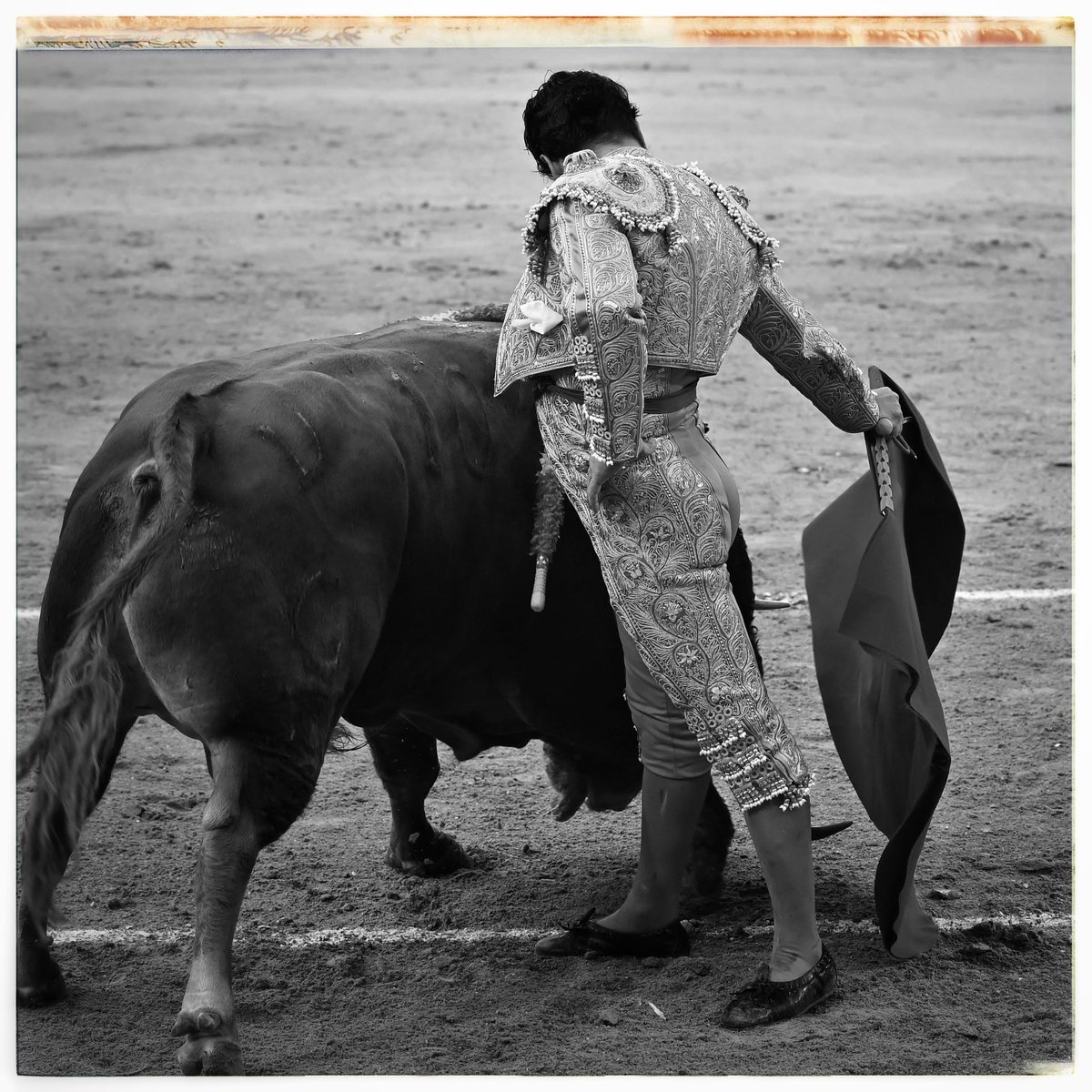 Salir todas las tardes a olvidarte de que tienes cuerpo debe de agotar mentalmente. Solo así ha logrado concebir una hondura inenarrable.  La fotografía es de <a href="/Javier_Arroyo/">Javier Arroyo</a>.