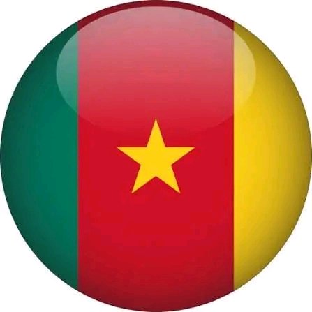 🇨🇲THE DSCHANG POLICE STATION RIGHT NOW!! 

👮🏾‍♀️: “Why did you set the court on fire?”
🙎🏾‍♂️: “Chef, they were stealing our votes!”
👮🏾‍♀️: “Did you vote?”
🙎🏾‍♂️: “No, chef.”

PEACE 🕊️🇨🇲🙏🏽