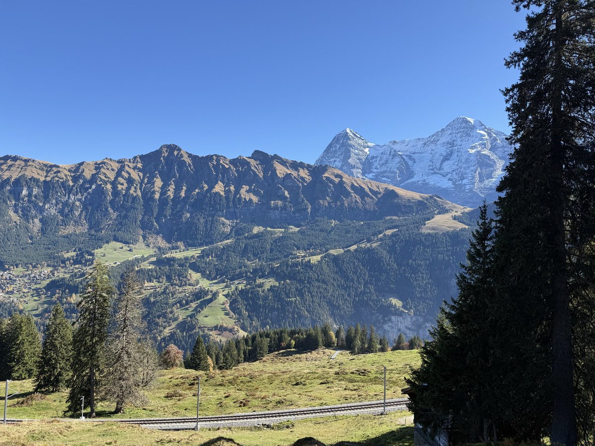 Tom Lamb (@tomlamb77) on Twitter photo 