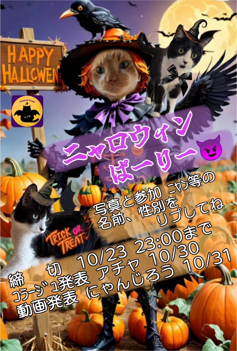 とろちゃん︎︎と🍥 (@tororo0208) / Posts / X