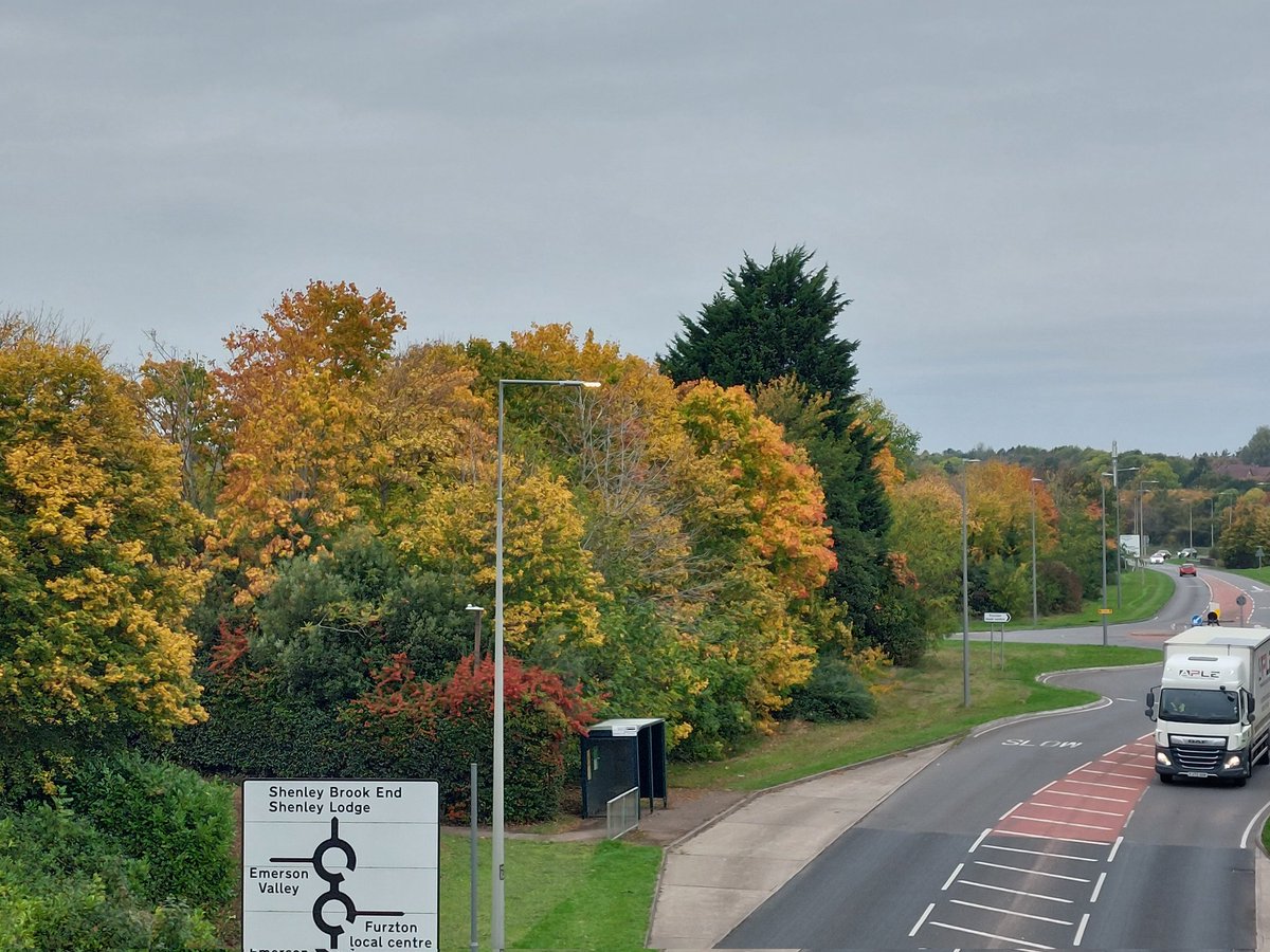 juliehartist's tweet photo. Milton Keynes is just concrete and roundabouts. But its stunning in Autumn!#MiltonKeynes #ConcreteJungle #beatiful #autumntrees https://t.co/C3KEpgKvzA