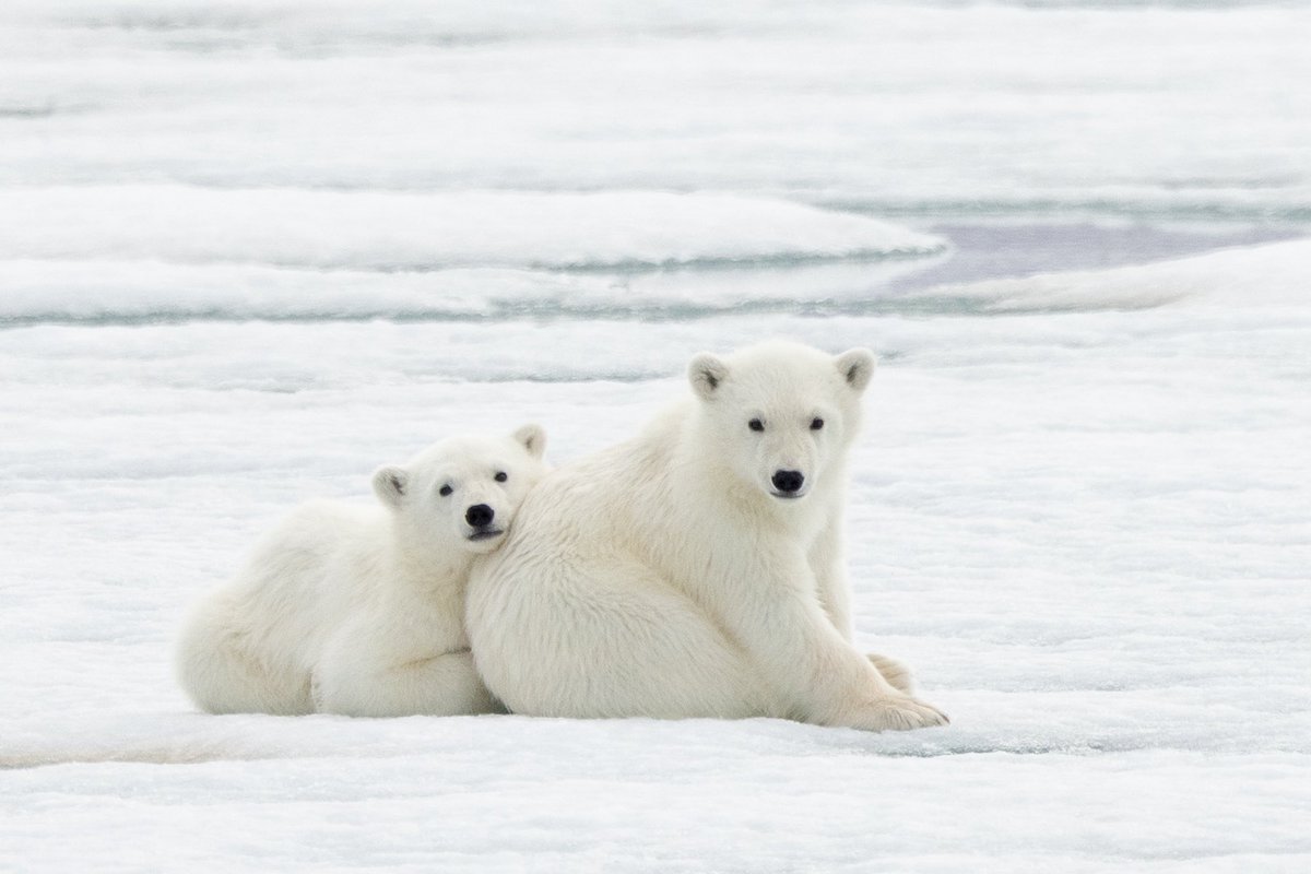 bernabephoto's tweet image. Happy weekend, everyone!