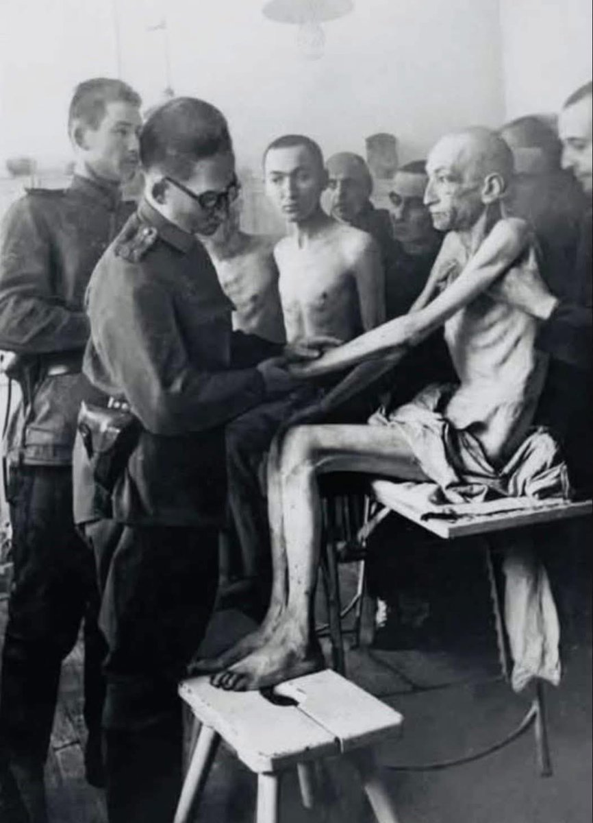 🕯️ El día en que Auschwitz quedó en silencio

Enero de 1945. La nieve seguía teñida de rojo cuando el Ejército Rojo llegó a las puertas de Auschwitz, el lugar que más tarde el mundo conocería como la herida más oscura de la historia humana.

Dentro, hallaron miles de