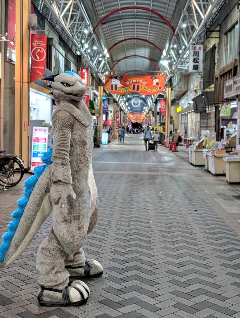 先日、お話しをいただいていた弘明寺商店街にある桜花酒造さんにて、着ぐるみ交流もできる貸切飲み会してきました！
写真はその時のですが、次はハロウィンの夜に着ぐるみ交流会やります！
お酒と食事が両方楽しめて着ぐるみも出せるので、お近くの方は是非とも👍
 #桜花酒造
📸 by.<a href="/noahshime1207/">のあしめ💙</a>