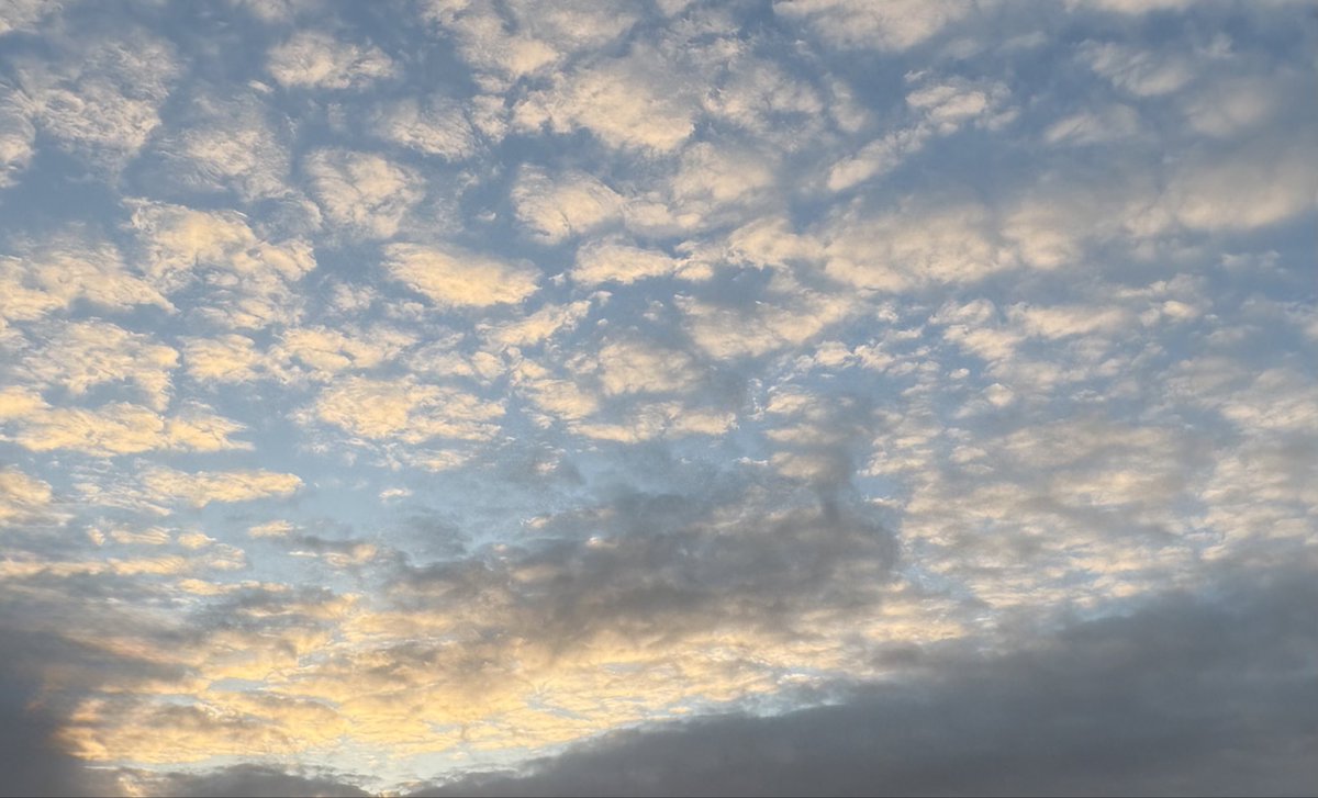 流行中のコロナの感染者数は減少傾向ですが、それでも前年同期より多い状態、
またインフルエンザは感染拡大中です。

インフルエンザもコロナも同じ5類の感染症ですが、コロナの治療薬は非常に高額です。

誰もが皆、躊躇なく、治療薬の処方を受けられるように
#PCR検査と治療薬の公費負担を求めます