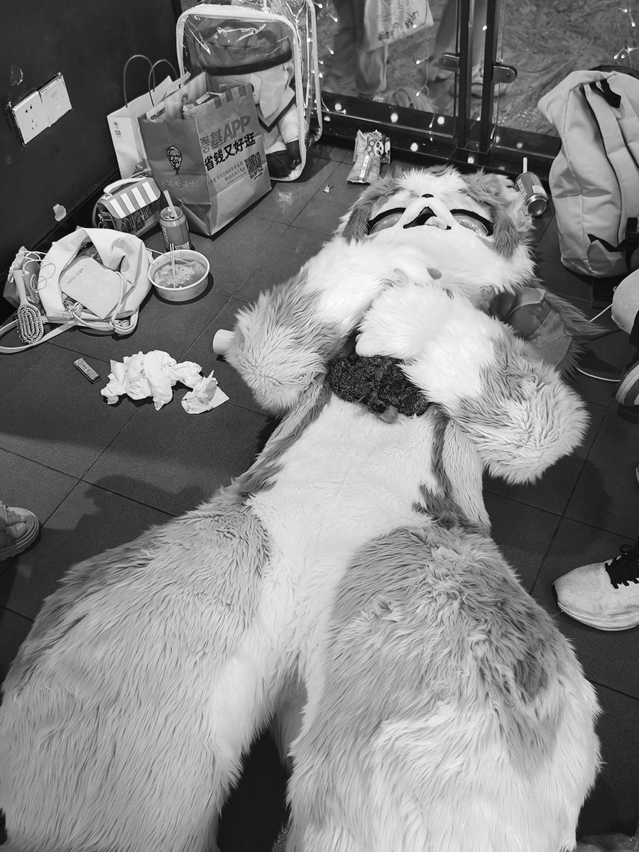 今日は私が雑用係だ…（本当に疲れた！ wwwww 写真は私のBFです！#FursuitEveryday #fursuit