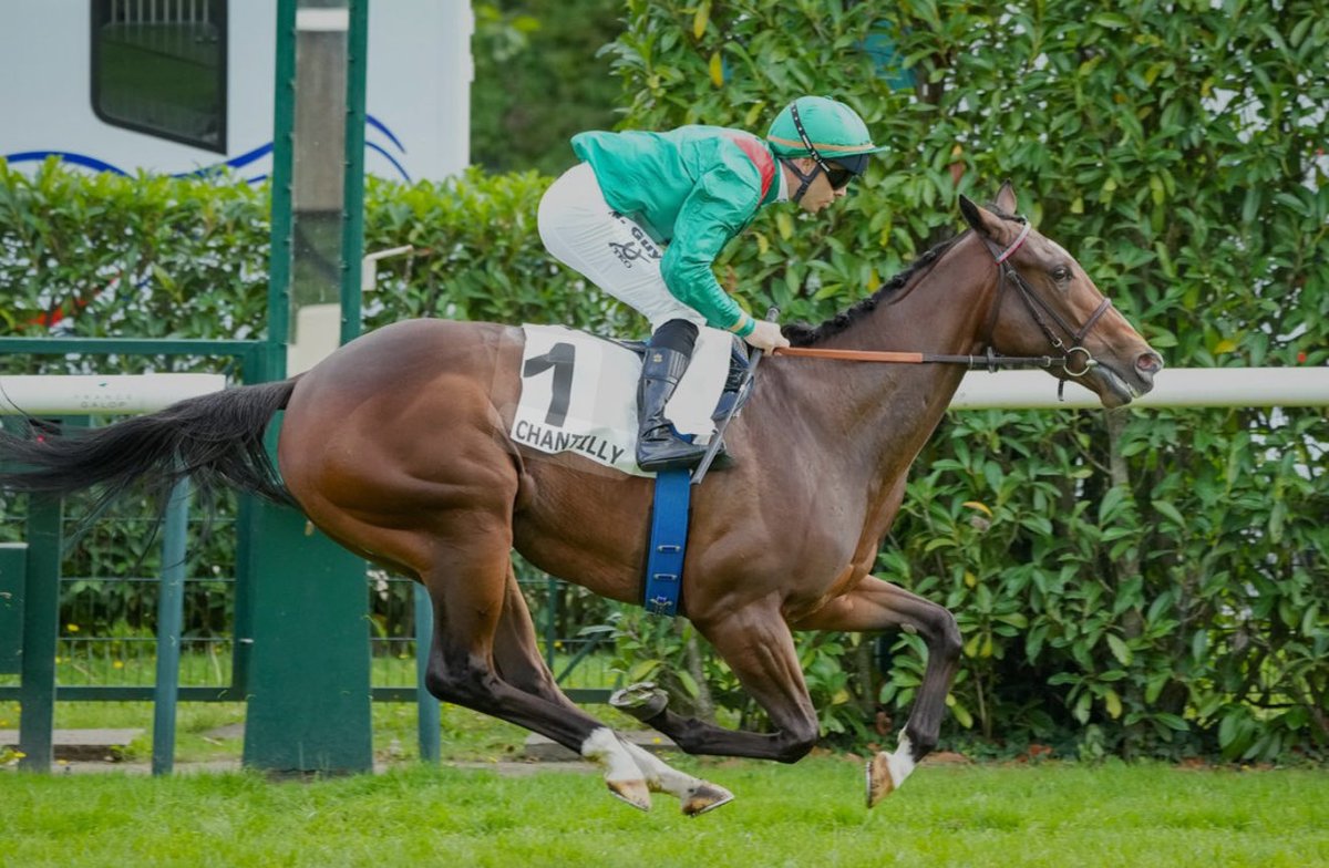 My Nap Of The Day Today

14.05 Ascot RAYVEKA  ⭐️⭐️⭐️⭐️⭐️⭐️⭐️ 7 star nap 
11/1 Each Way Bet first four places.

RAYVEKA, drawn in stall 13, a strong  gallop will suit this strong-travelling daughter of Blue Point, as she can be a bit too keen for her own good. She bolted up in a