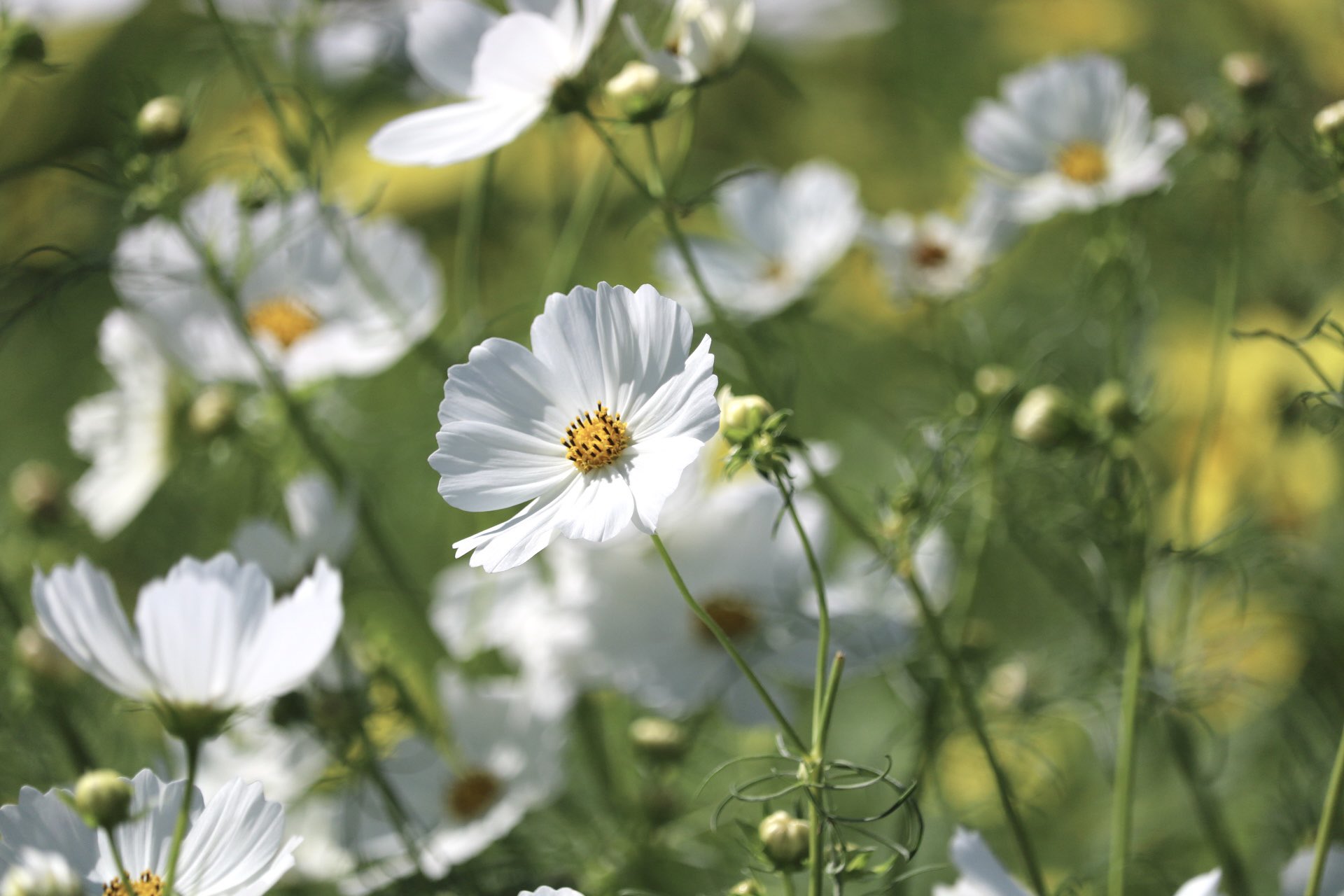 岐阜っ子♡三日月🌙✨ on X: 