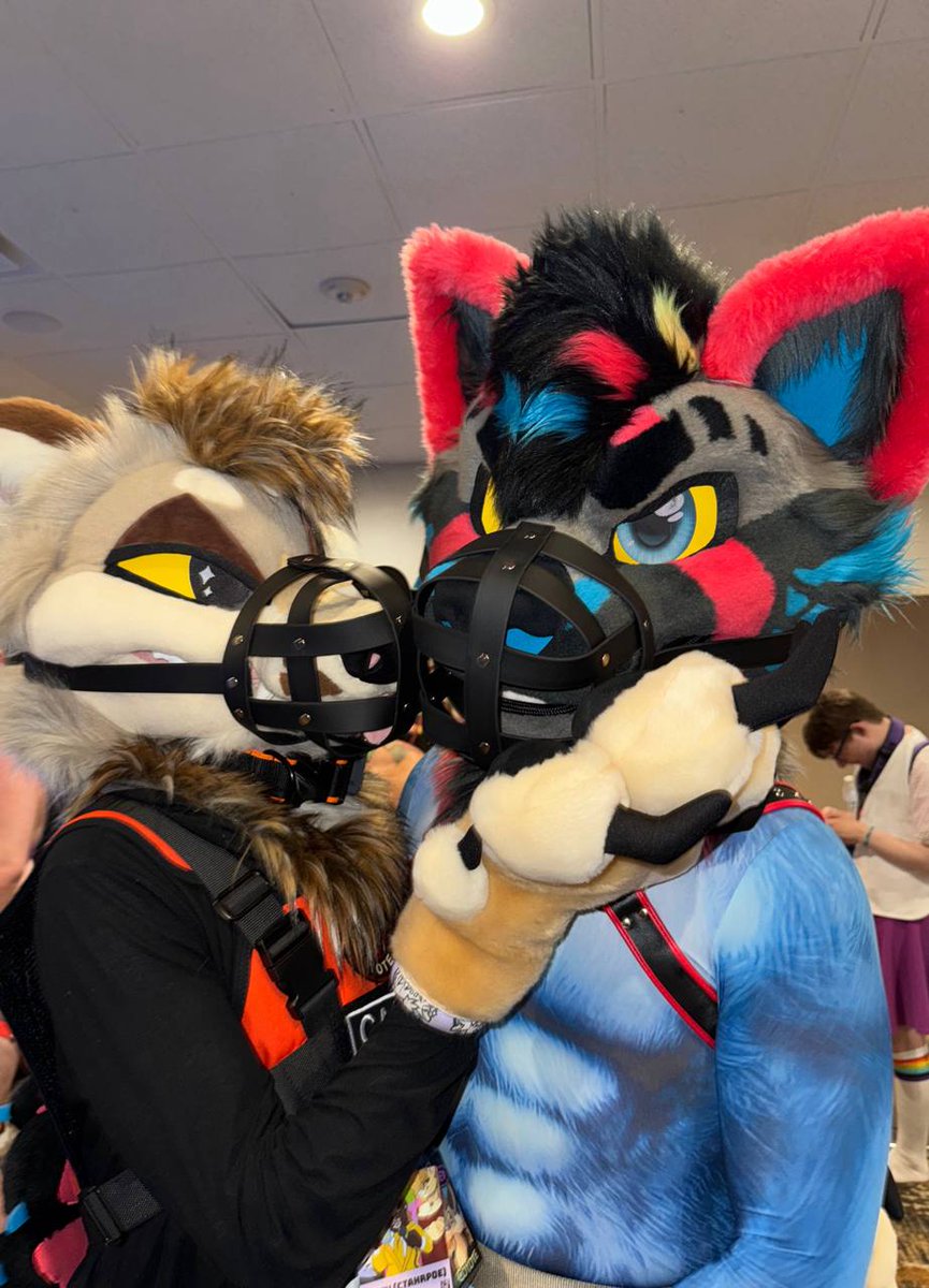 ctahrpoe's tweet photo. Matching muzzle buddies 😳

⛓️ @bomberpanda2
📷 @RayzorWolf https://t.co/mhRt25wkXr