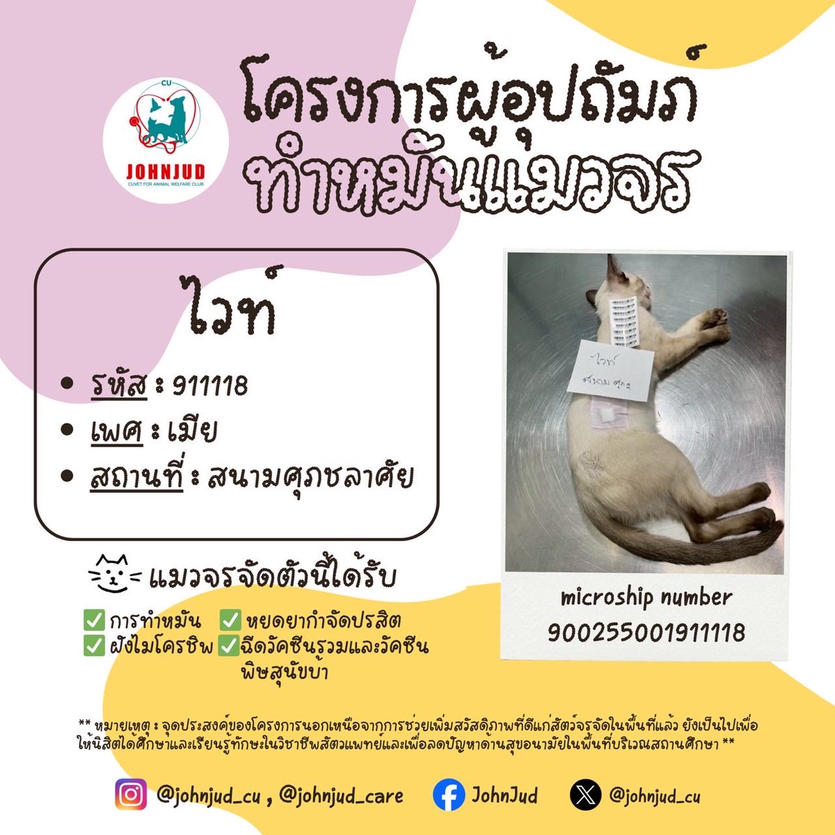 1. สามสีเข้ม เพศผู้ สาธิตปทุมวัน
2. สามสีอ่อน เพศเมีย สาธิตปทุมวัน
3. แบล็ค เพศผู้ สนามศุภชลาศัย
4. ไวท์ เพศเมีย สนามศุภชลาศัย

แมวที่ได้รับการอุปถัมภ์แล้วจะมีอัปเดตใน reply นะคะ 💌