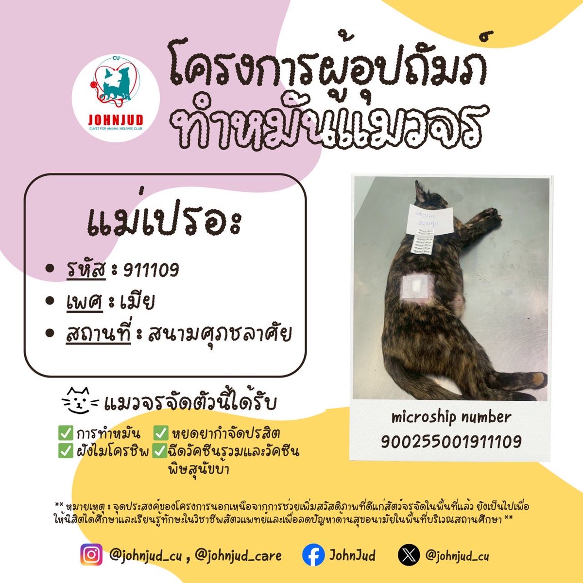 5. หยินหยาง เพศผู้ ตลาดสามย่าน
6. นมข้น เพศเมีย สามย่าน
7. ขาว เพศเมีย สวนหลวง
8. แม่เปรอะ เพศเมีย สนามศุภชลาศัย

แมวที่ได้รับการอุปถัมภ์แล้วจะมีอัปเดตใน reply นะคะ 💌