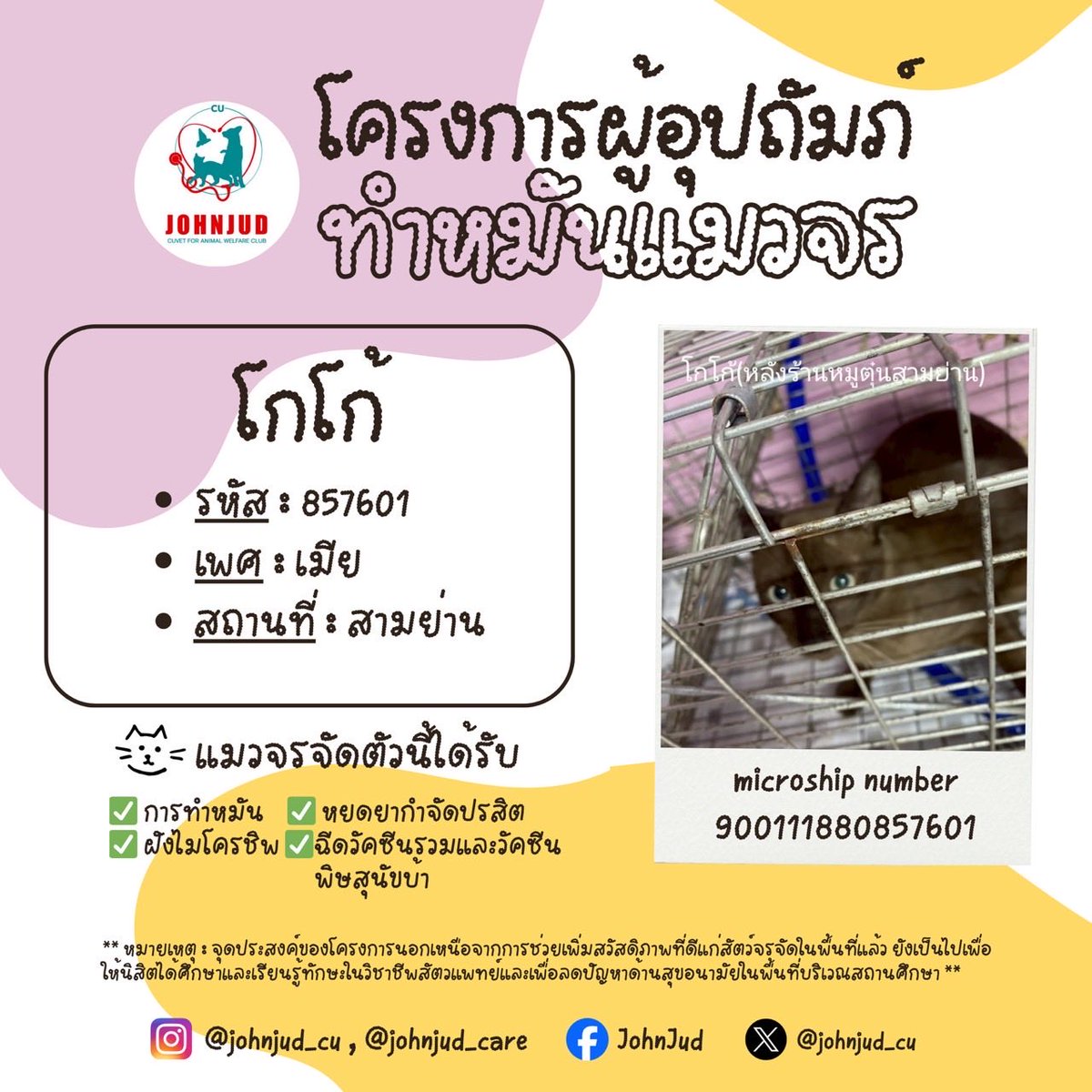 9. นิลพัท เพศผู้ จาม9
10. น้องต้มจืด เพศเมีย สวนหลวง
11. น้องเอสเปรสโซ่ เพศผู้ สวนหลวง
12. โกโก้ เพศผู้ สามย่าน

แมวที่ได้รับการอุปถัมภ์แล้วจะมีอัปเดตใน reply นะคะ 💌