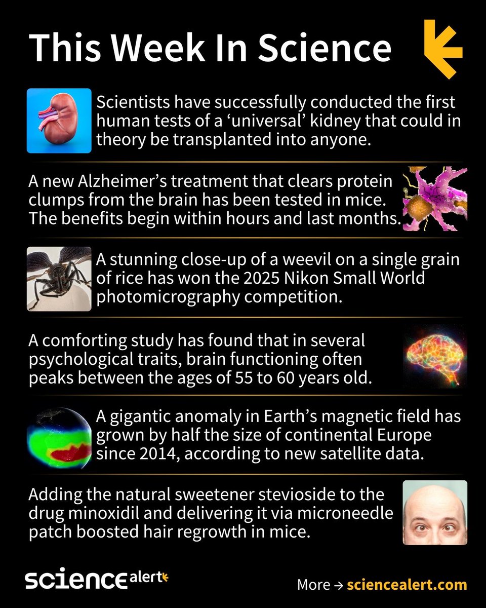 ScienceAlert's tweet image. This Week In Science (October 12 – 18) 🧪

A &apos;universal&apos; kidney, an exciting new Alzheimer&apos;s experiment, a growing anomaly in Earth&apos;s magnetic field, and much more!

#ScienceNews #ScienceAlert #STEM #ThisWeekInScience #TWIS