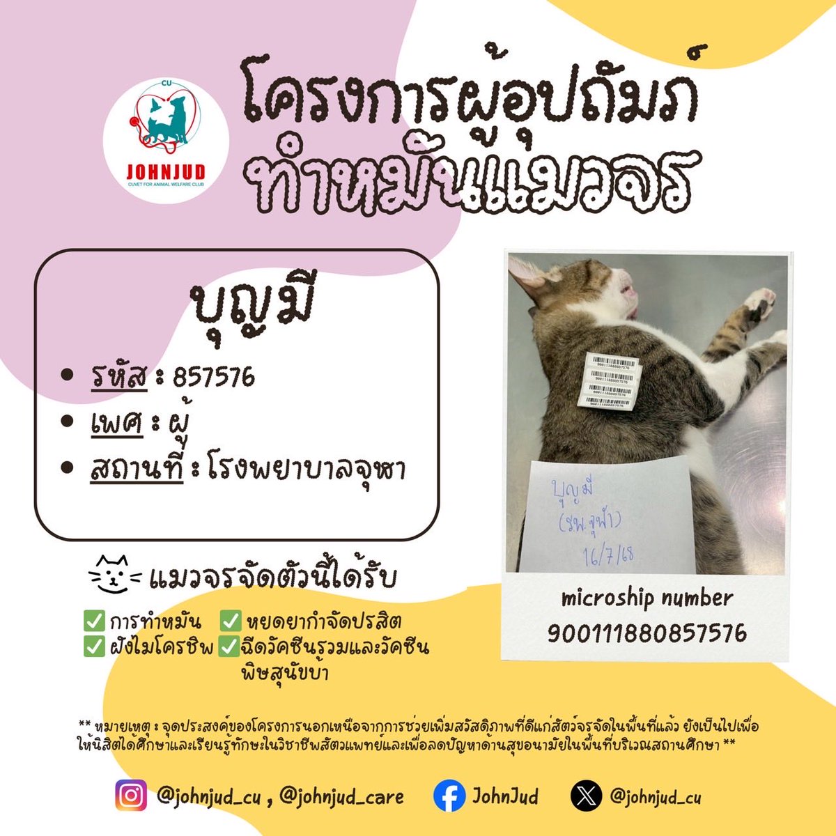 21. ตัวเล็ก เพศผู้ โรงพยาบาลจุฬาฯ
22. มะม่วง เพศผู้ โรงพยาบาลจุฬาฯ
23. องุ่น เพศเมีย โรงพยาบาลจุฬาฯ
24. บุญมี เพศผู้ โรงพยาบาลจุฬาฯ

แมวที่ได้รับการอุปถัมภ์แล้วจะมีอัปเดตใน reply นะคะ 💌