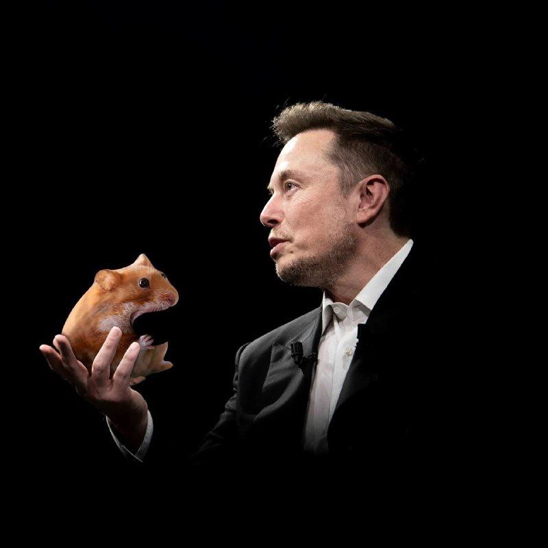 ianHODL's tweet photo. @elonmusk 0 wont be never the mc of $nomnom https://t.co/kCYT8rxDXI
