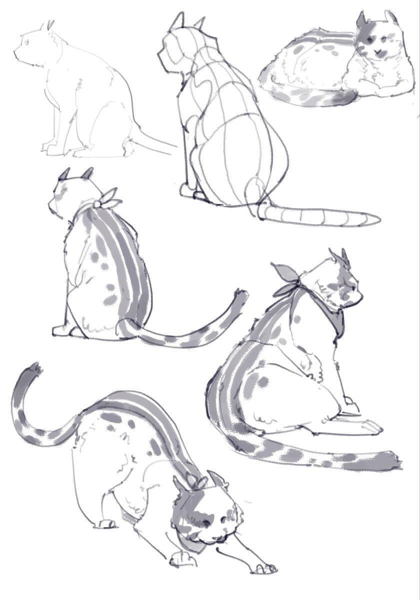 _AzizAlharthi's tweet image. 