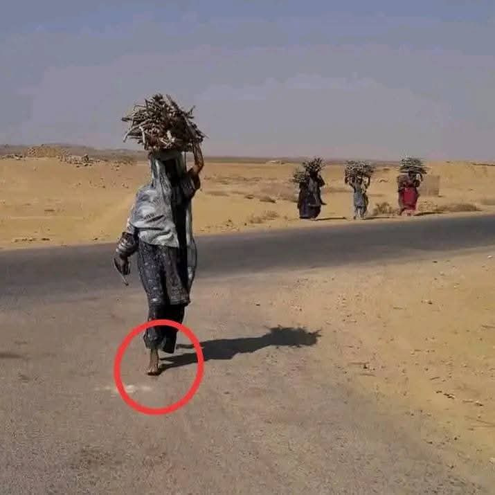 یہ ہیں بلوچستان پیارا سا۔پھر بھی لکڑیاں چن رہے ہیں پاؤں میں چپل بھی نہیں لاوارث بلوچستان