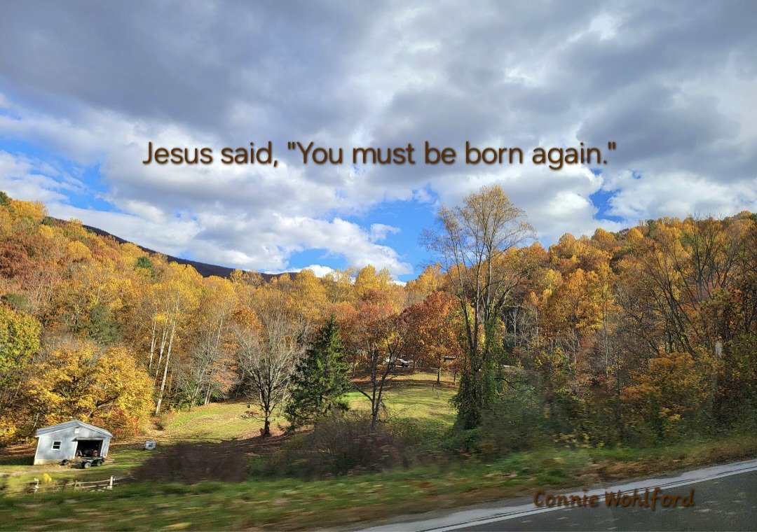 wohlford_connie's tweet image. “Rabbi, we know that You are a teacher come from God; for no one can do these signs that You do unless God is with him.” Jesus answered and said to him, “Most assuredly, I say to you, unless one is born again, he cannot see the kingdom of God." John 3

#JesusSaid #WrittenInRed