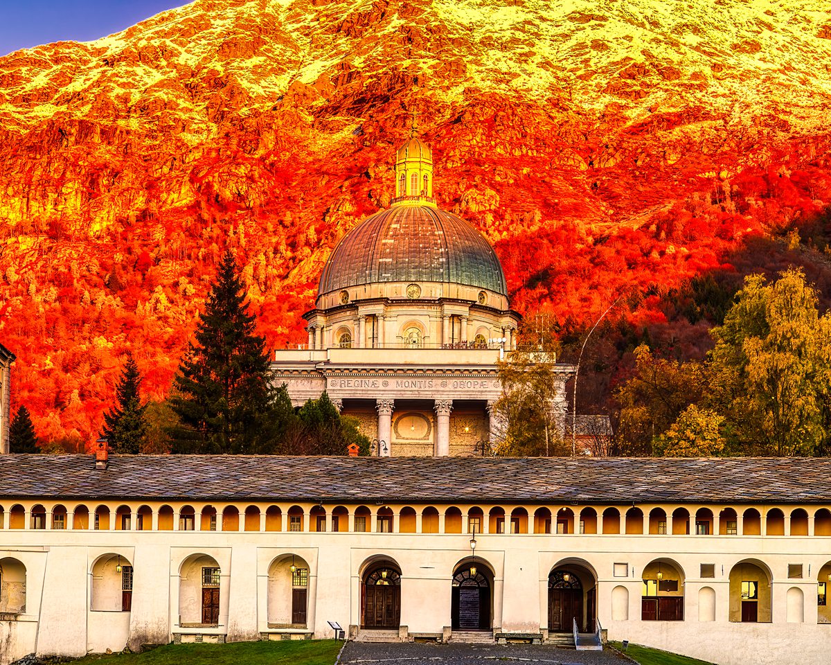 Vivida 🌻 tweet media