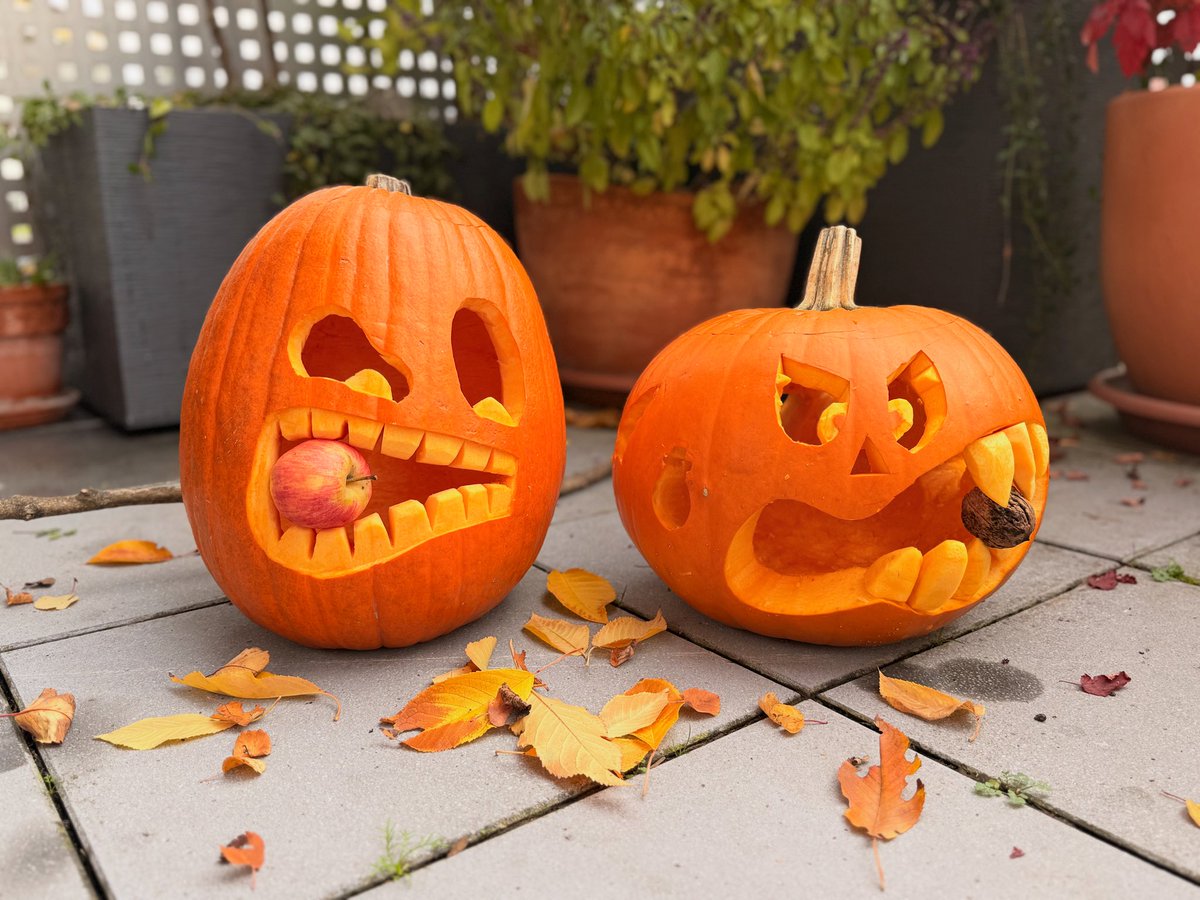 I carved pumpkins with the kids today for Halloween 🎃