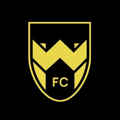 Woking Town FC (@wokingtown_fc) on Twitter photo 