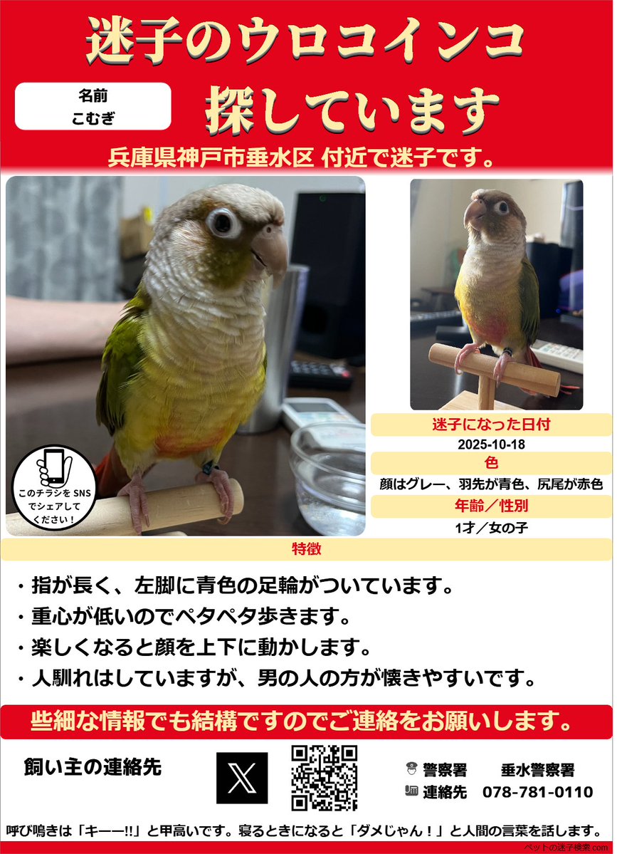 Tweet media one