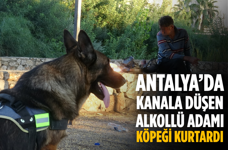 Antalya'da kanala düşen alkollü adamı köpeği kurtardı
Detaylar lidergazete.com/antalya-gunlug…