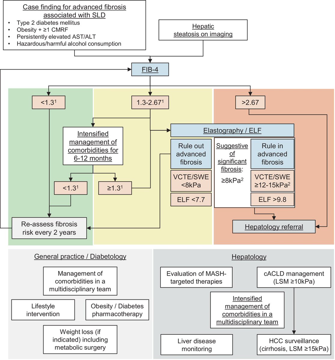 😀🇦🇹 multisociety (gastroenterology &amp; hepatology, diabetology &amp; obesity) consensus on MASLD (&amp; MetALD!)
🤝Well-aligned with <a href="/EASLnews/">EASLnews</a> CPGs
😟Reimbursement currently restricted to semaglutide for T2DM
🤔Reimbursement in our country?

🖇️: rdcu.be/eLAde

#LiverTwitter