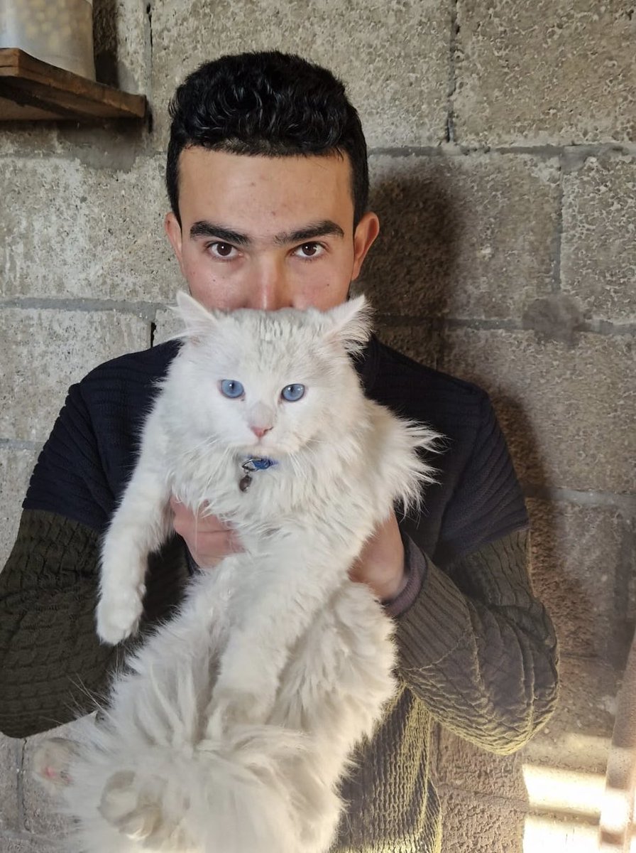 Mahmoud🇵🇸 tweet media