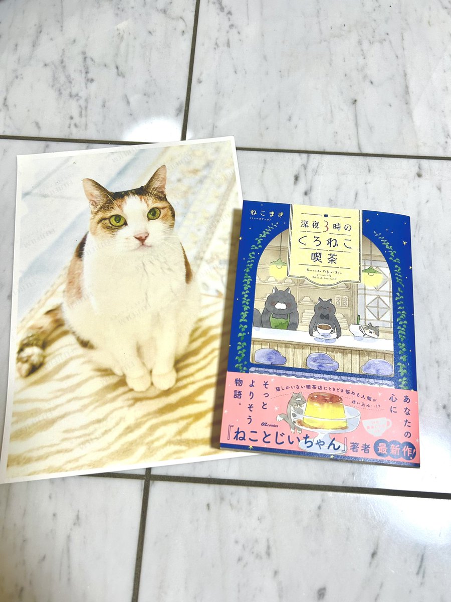 ねこまき様 ねこまき倉庫 (@nyanta_mikan) / Posts / X