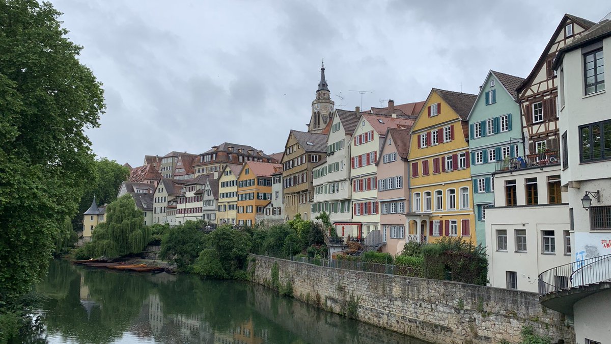 ZebrafishRock's tweet image. Don’t forget the umlaut! Did you know the wildtype strain ‘Tu’ came from a pet shop in the German town of Reutlingen, a nearby city of Tübingen? This area was one of the sites of “The Big Screen” co-led by Christiane Nüsslein-Volhard in the 90s. #ZebrafishFunFacts @maxplanckpress