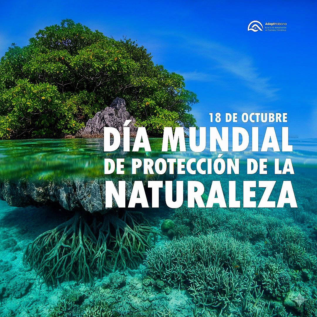 La salud de los ecosistemas garantiza el agua que bebemos, el aire que respiramos y los alimentos que consumimos. Promover la conservación de los espacios naturales favorece la adaptación al cambio climático, y un ambiente equilibrado para todas las personas.