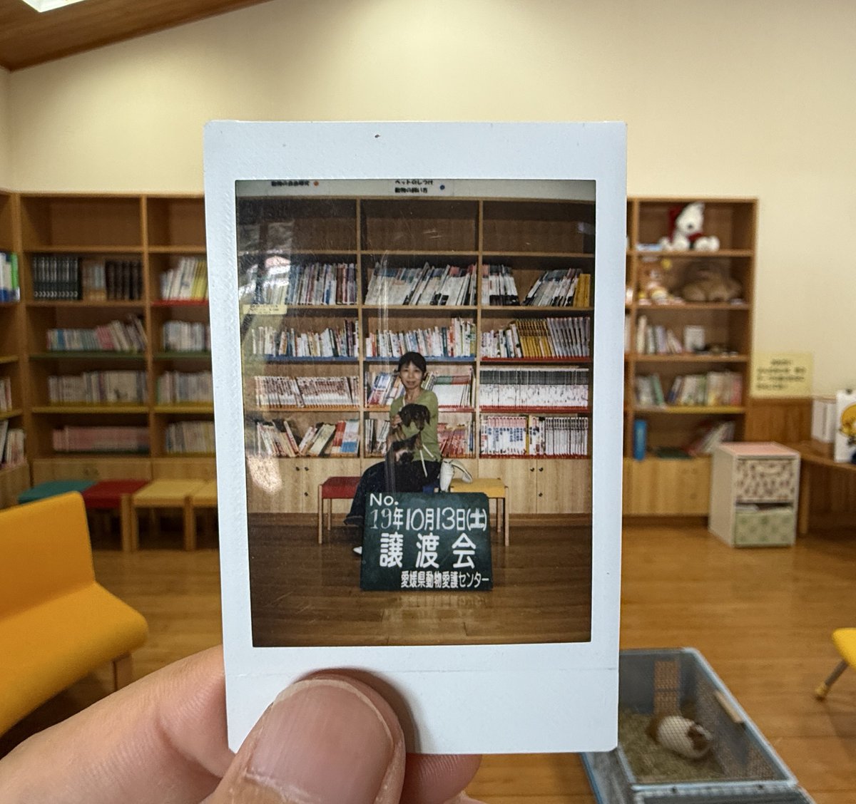 我が家の愛犬が長寿犬(推定20歳)として表彰されました。捨て犬だったウチの子を母が愛護センターで引き取り、数十年を経てまた同じ愛護センターで表彰式が行われ、感無量です。