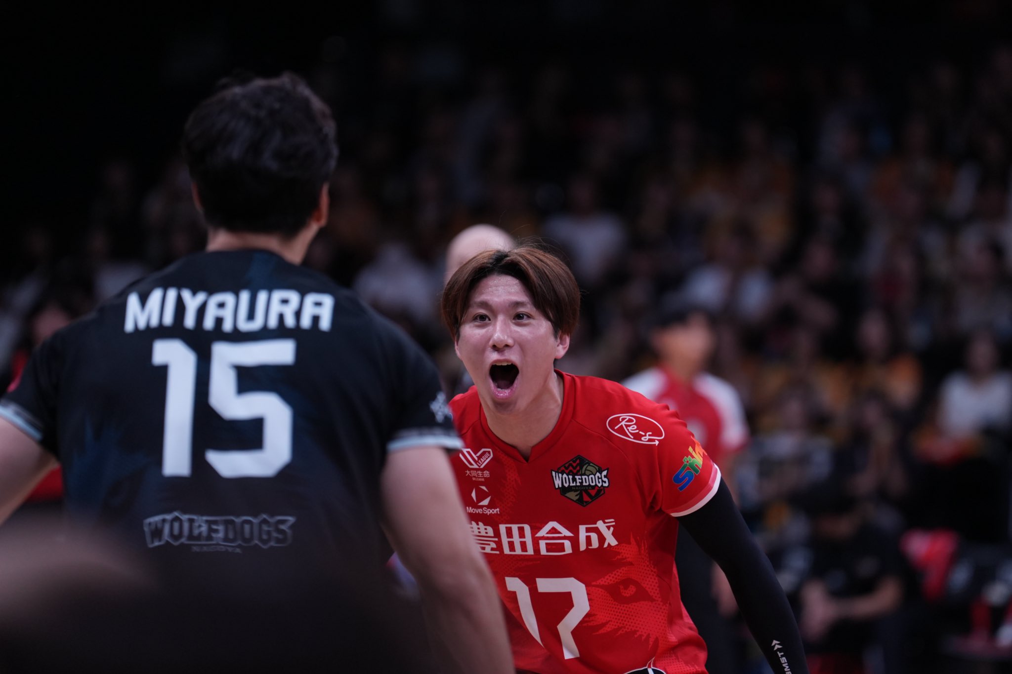 ウルフドッグス名古屋 #17　市川健太選手　ユニホーム　Lサイズ ウルフドッグス名古屋 #17 市川健太選手 ユニホーム Lサイズ