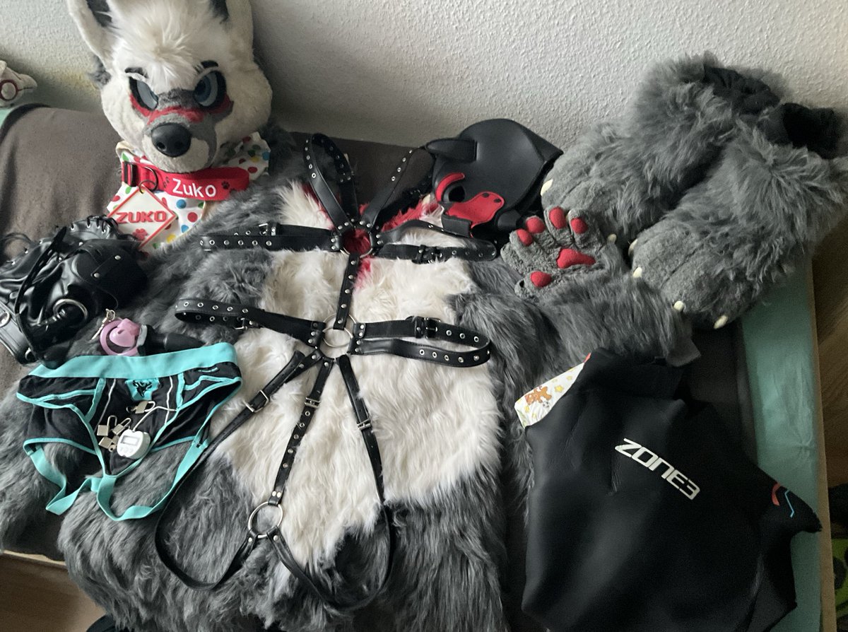 Professional treat stealer tweet media