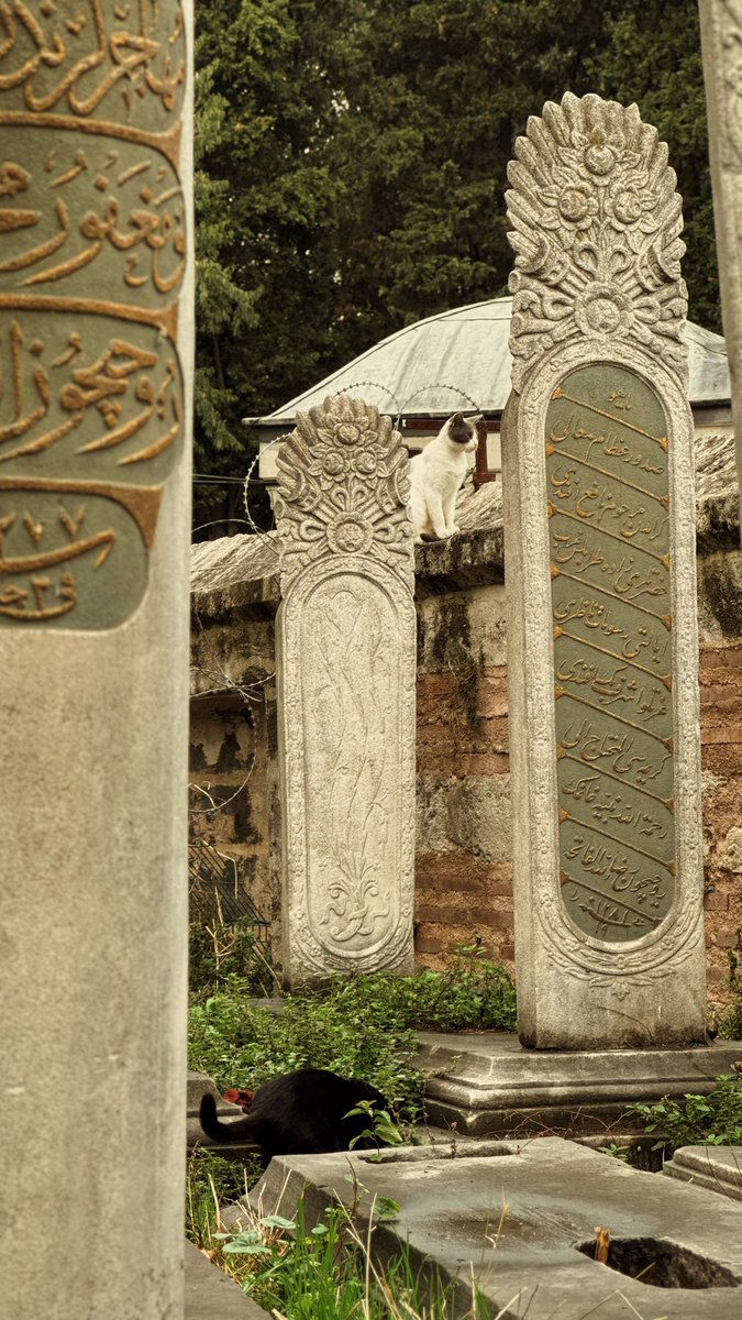 “ismin ganî, settâr iken
ya ben kime yalvarayım?”