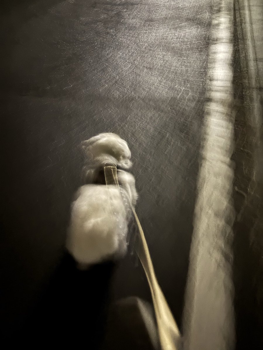 いっぬ ノリきなコペン on X