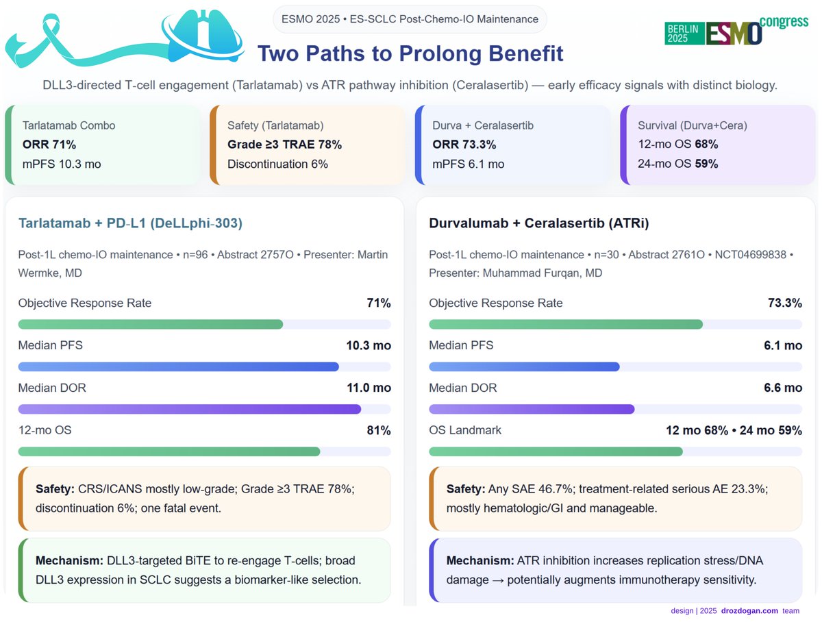 Two paths emerging for ES-SCLC maintenance after chemo-immunotherapy.

The DeLLphi-303 study explores DLL3-directed T-cell engagement (tarlatamab + PD-L1), while a phase II trial tests ATR inhibition (ceralasertib + durvalumab) to enhance immune persistence.

#ESMO25 #SCLC
