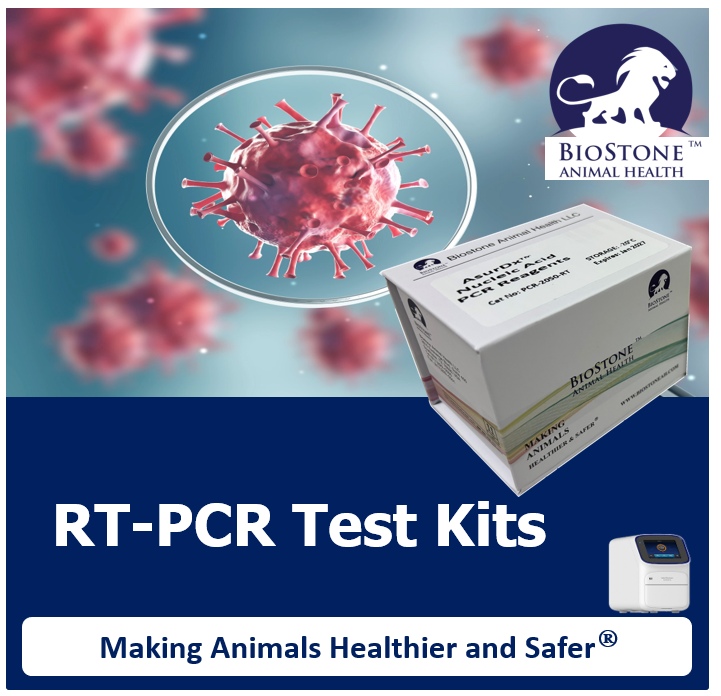 biostoneah's tweet photo. BioStone Animal Health is a Dallas, Texas, USA-based biotechnology company that provides innovative solutions for animal health. As you work to improve both animal health and business performance, we work together with our worldwide partners to offer you a portfolio of animal disease diagnostic products.
BioStone Animal Health LLC
#BioStone #AnimalHealth #AsurDx #virus #diagnostic #invitro

For more information, visit our website: https:/www.biostoneah.com

Availability/Distribution: Products are designed and developed by BioStone US at our Texas headquarters. Currently, products are only available outside of the USA. Regulatory requirements vary by country; products may not be available in your geographic area.