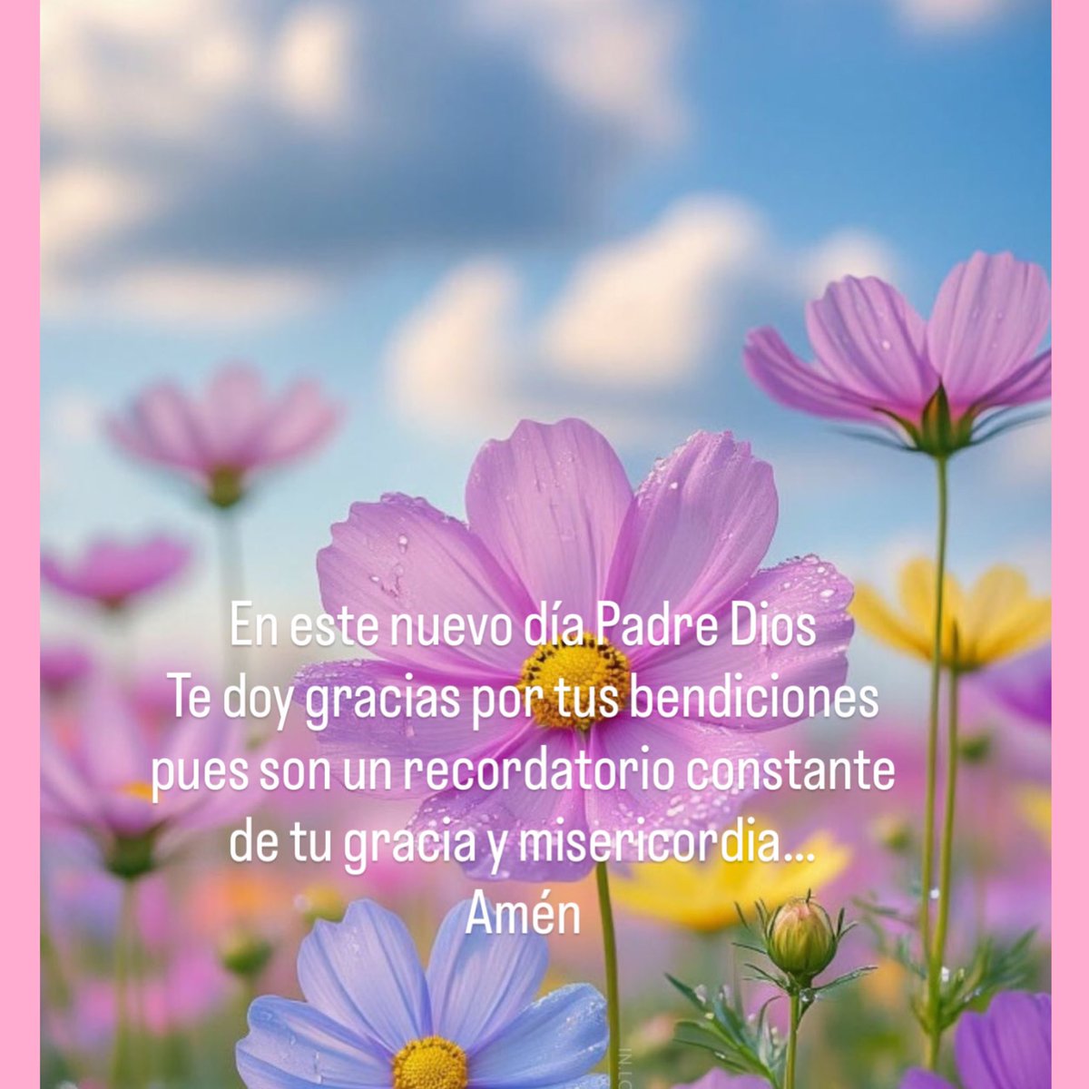 Herbert  Araujo (@herbert_0110) on Twitter photo 