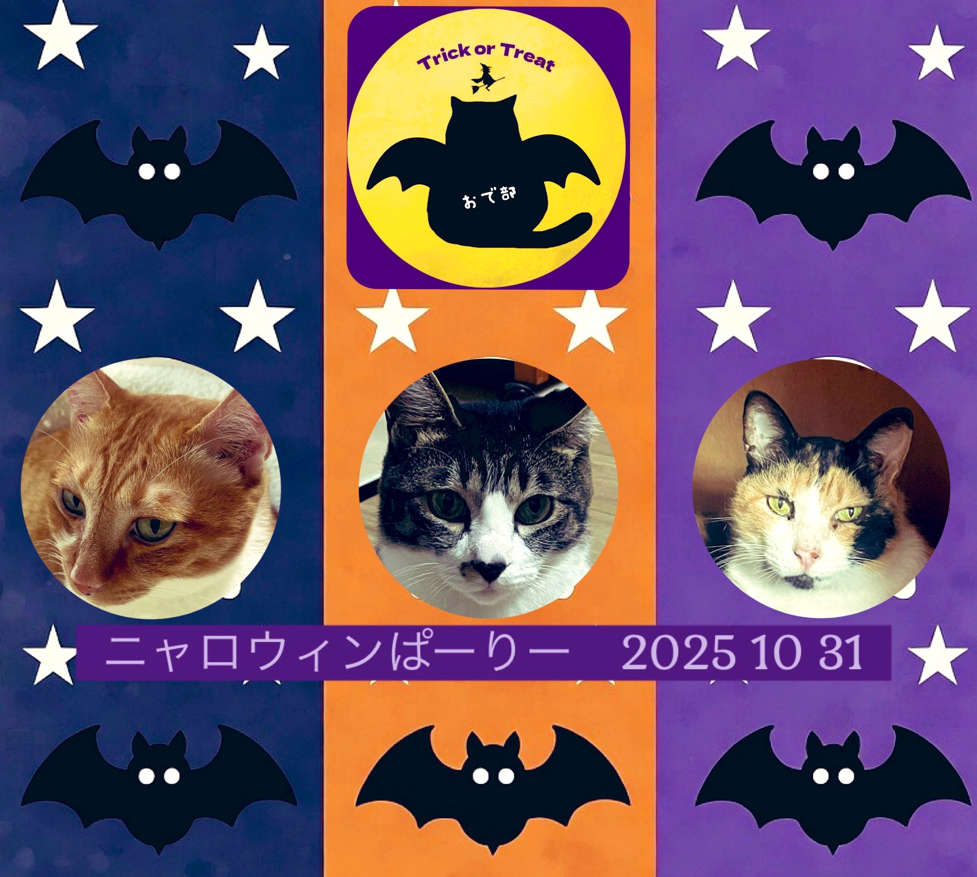 りょうちゃん様予約 絵画「猫の背中にハロウィン／小鳥ブレーメンハロウィン」 原画「白猫と小鳥ブレーメン」猫/鳥/インコ/文鳥/イラスト