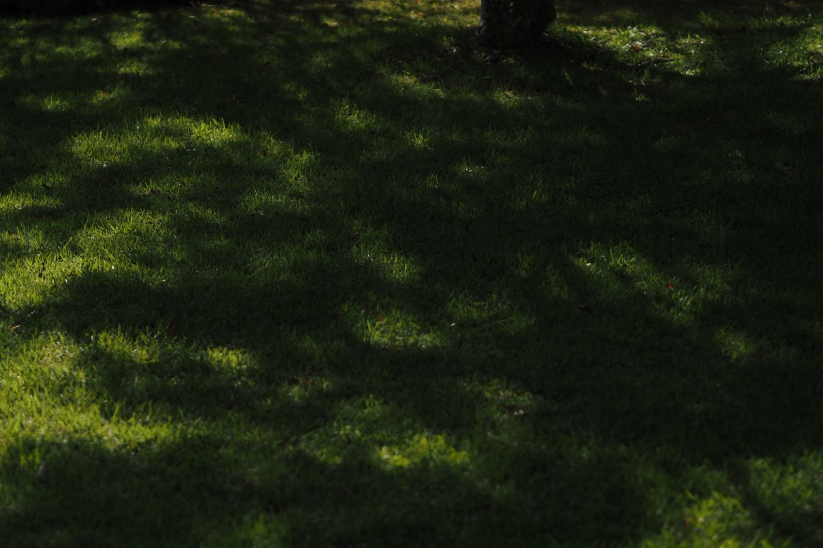 公園