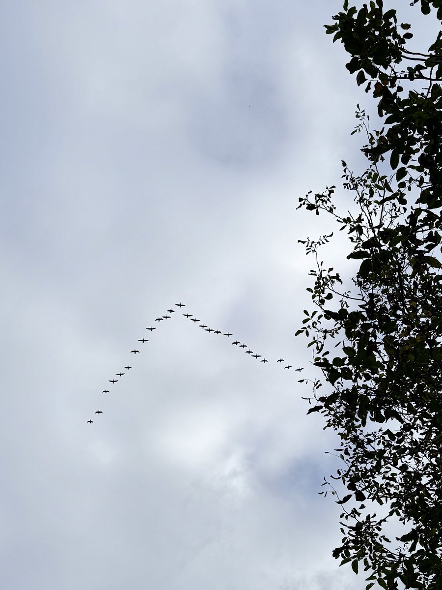 Koby Cohn tweet media