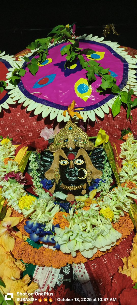 odiajagat's tweet photo. ମାଆ ବିରଜା ଠାକୁରାଣୀଙ୍କର ଆଜିର ଦର୍ଶନ ❤️🥰🙏 https://t.co/7SJkeaG8W8