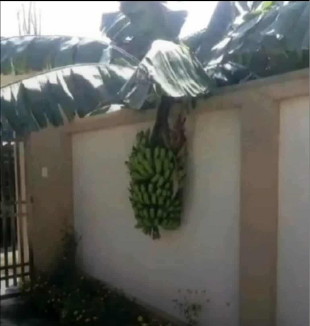 अपना सौभाग्य समझू😬

 या पड़ोसी का दुर्भाग्य🤣🥳🥳🥳🥳
😝😝😝😝😝