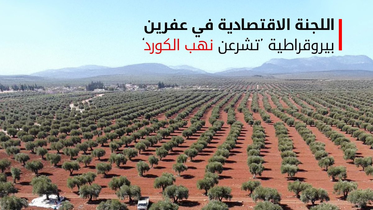 Dilshad_Jawish's tweet image. عمليات النهب والسرقة في عفرين المحتلة 
التقرير
: kurdistan24.net/ar/story/87001…