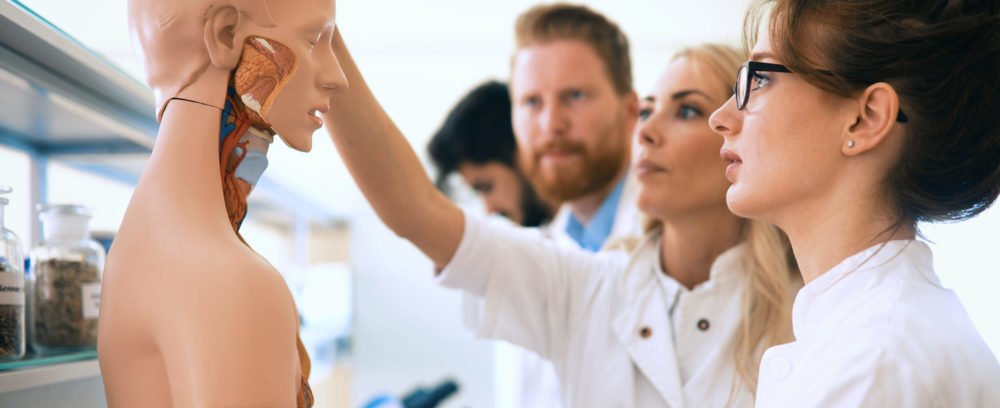 «Solo una de cada siete facultades incluye contenidos suficientes de Medicina de Familia»
En el marco del 47º Congreso Nacional de SEMERGEN, el Dr. Vicente Martín analiza el papel de la Universidad en el impulso de la Medicina de Familia como especialidad de referencia.
«Faltan