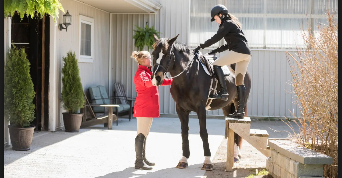 Building Stronger Barns: Inside Ontario Equestrian’s Stable Program
Ontario Equestrian's new #StableProgram helps barn owners and managers run safer, smarter, and more successful operations. #horsefarms #ridingstables
horsesport.com/magazine/busin…