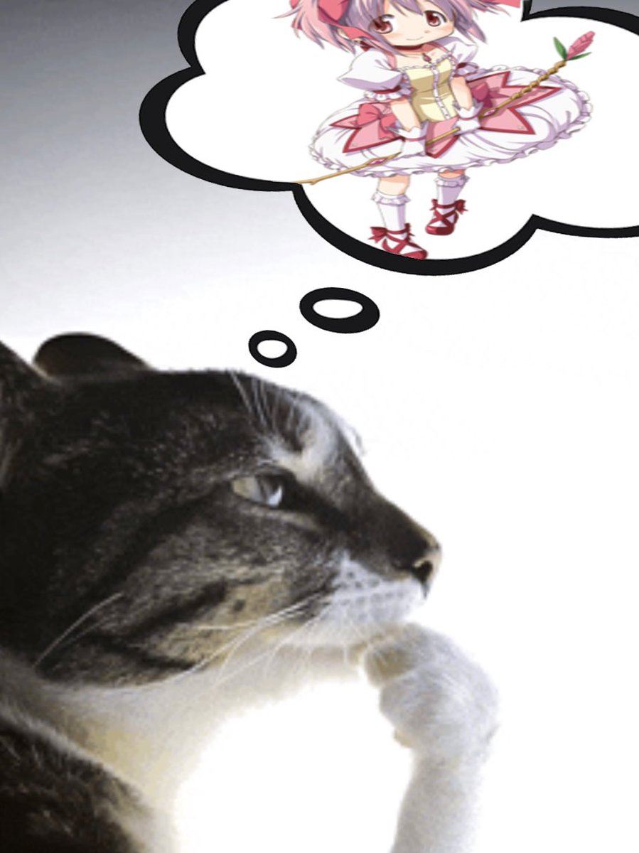 Akemi Homura (@eternal_akemi) on Twitter photo 