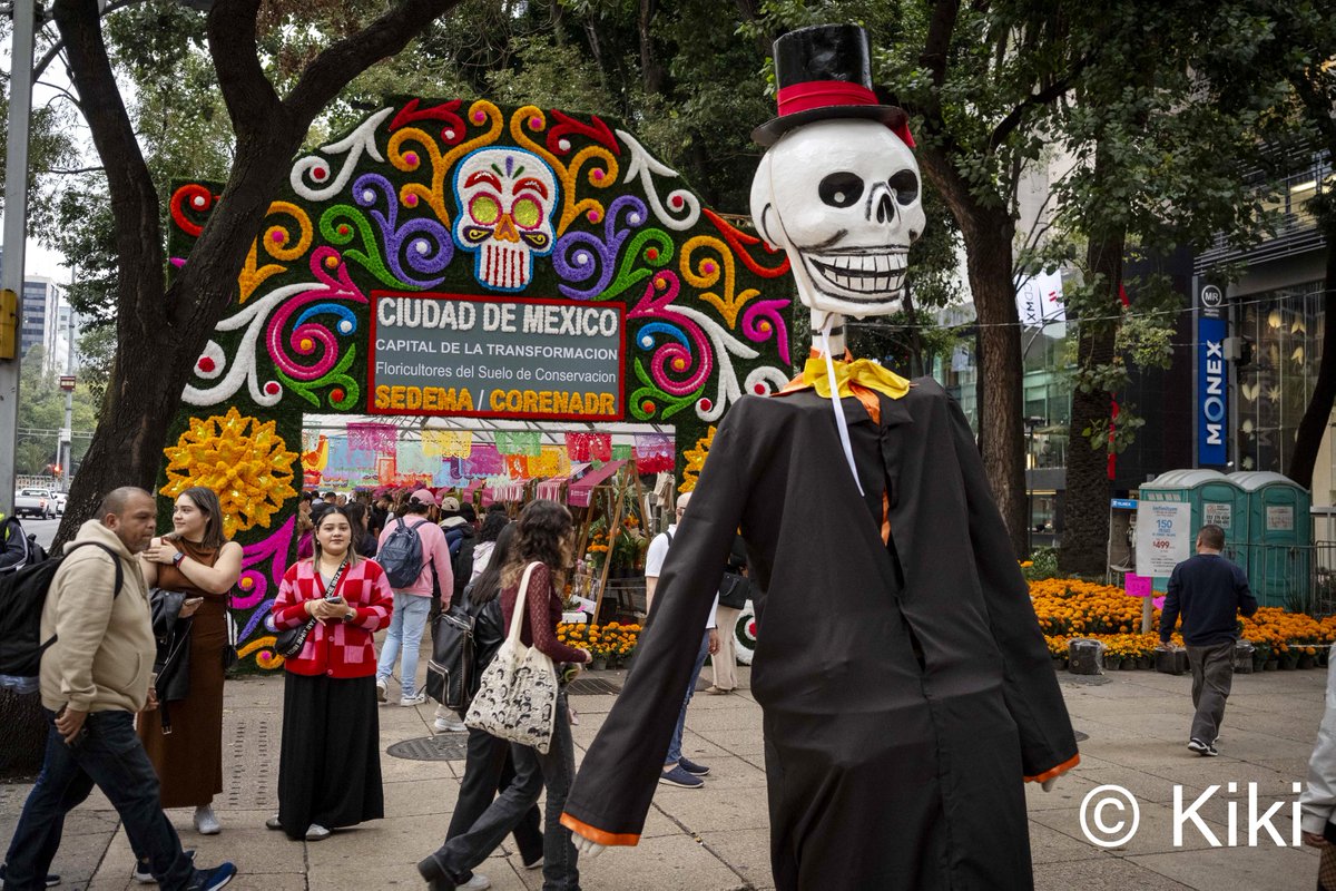 18/10/25 𝐌𝐢 𝐟𝐨𝐭𝐨 𝐝𝐞𝐥 𝐝𝐢́𝐚.
Colores, flores y calaveras anuncian que el Día de Muertos se acerca en Ciudad de México.
Las calles se llenan de vida para honrar a quienes ya no están, entre música y ofrendas.
Una tradición que convierte la memoria en celebración.